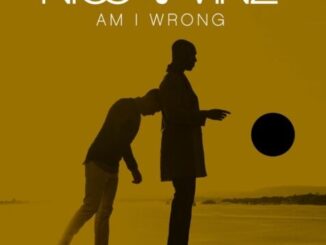 Nico & Vinz – Am I Wrong