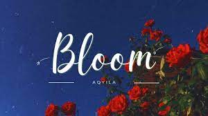 Aqyila – Bloom