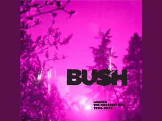 BUSH – Nowhere to Go But Everywhere