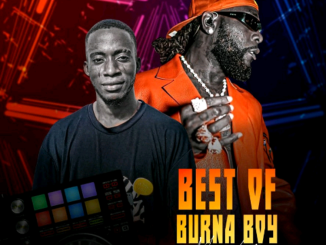 DJ Amacoz – Best Of Burna Boy 2023 Mix