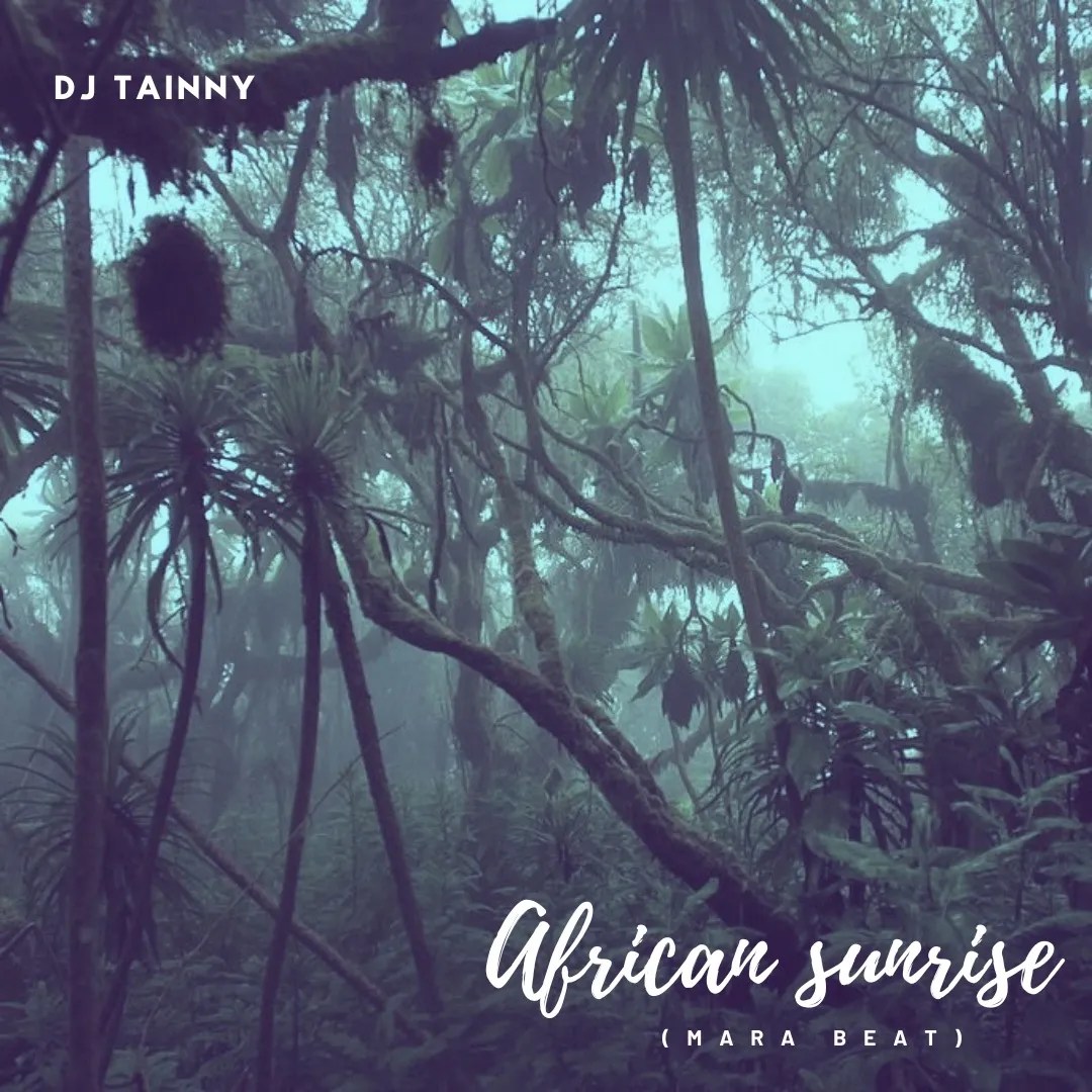 DJ Tainny – Afro Sunset (Mara Beat)