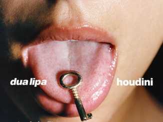 Dua Lipa – Houdini (Extended)