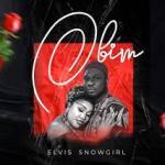 Evil Snowgirl – Obim Radio Edit