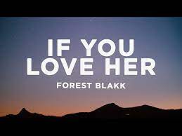 Forest Blakk – If You Love Her (sped up)