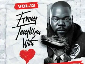 Noxious Deejay – From Tembisa 2 Lydenburg With Love Vol. 13