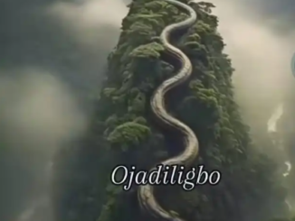 Ojadiligbo – Orimmili Anatago