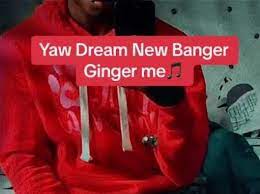 Qwaku Signal – GINGER ME