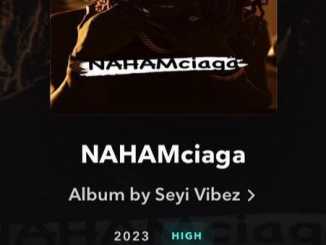 Seyi vibez – Nahamciaga (EP)