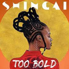 Shingai – South London Safari