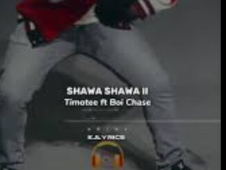 Timotee ft. Boi Chase – Shawa Shawa ll