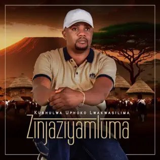 Zinjaziyamluma – Vela Bakubone ft Shwi