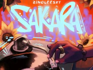 Zinoleesky & DJ Youngstar – Sakara (Speed Up)
