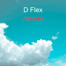 D Flex – Nasaake