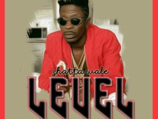 Shatta Wale – Level