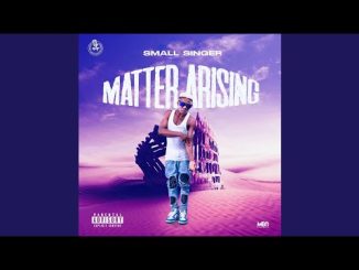 Small Singer – Matter Arising