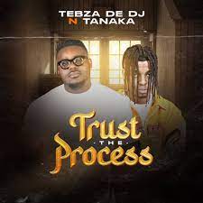 Tebza De DJ – Trust the Process ft Tanaka