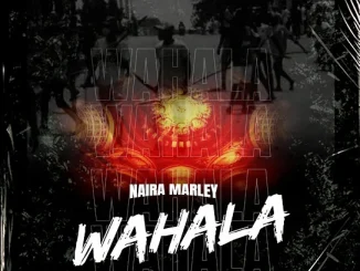 Wahala lyrics by Naira Marley