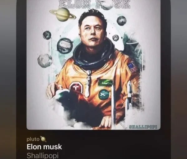 Elon Musk Lyrics by Shallipopi