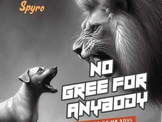 No gree for anybody lyrics by Spyro