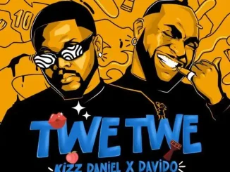 Twe Twe Remix lyrics by Kizz Daniel ft Davido