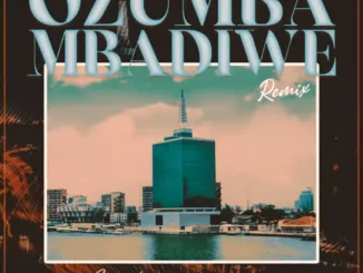 Ozumba Mbadiwe remix lyrics by Reekado Banks ft Fireboy DML